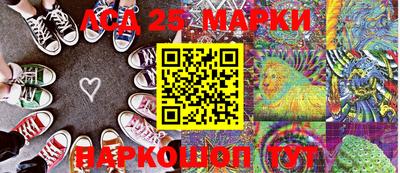 индика Новодвинск