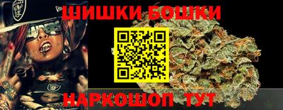 индика Новодвинск