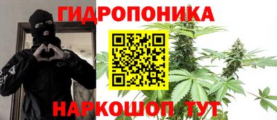 прущие грибы Новокубанск