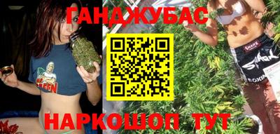 индика Новодвинск