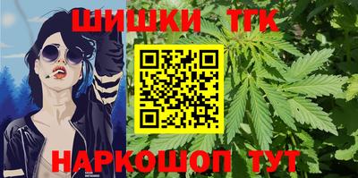 индика Новодвинск