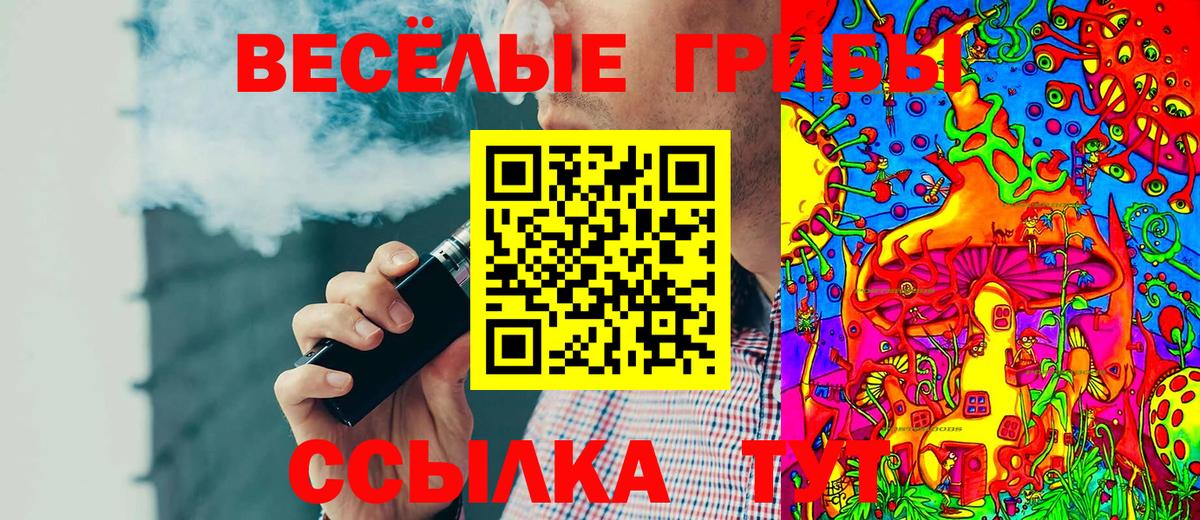 Сыктывкар  наркота  Псилоцибиновые грибы MAGIC MUSHROOMS  Вход с VPN  Псилоцибиновые грибы Psilocybe 